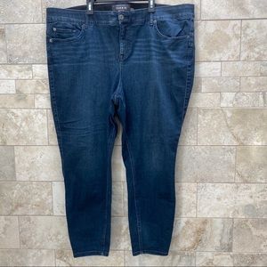 Torrid Denim Jeans